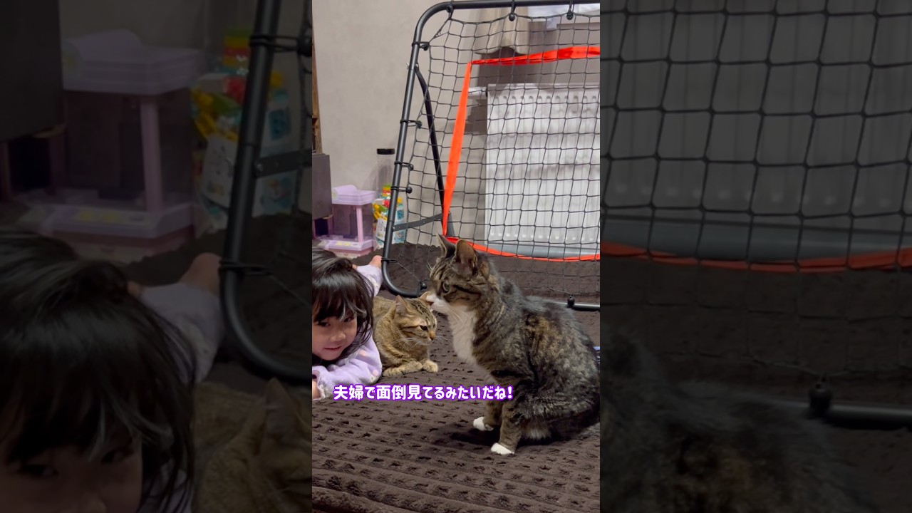 まるで夫婦の様に末っ子を見守るサンタくんとステラちゃん🥹