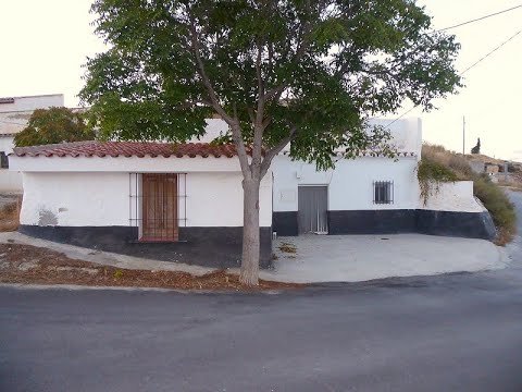 video image