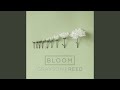 Bloom (Radio Version)