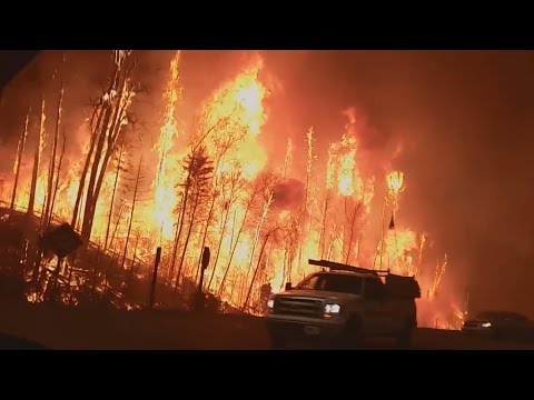 Weather Gone Viral: Residents Try to Escape a Raging Wildfire