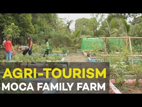 Agri tourism: MoCa Family Farm, Agribusiness Ideas in the Philippines