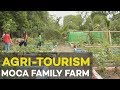 Agri tourism: MoCa Family Farm, Agribusiness Ideas in the Philippines