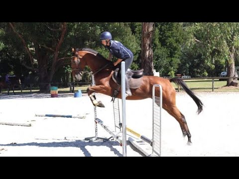 Show Jumping 23/03/2022