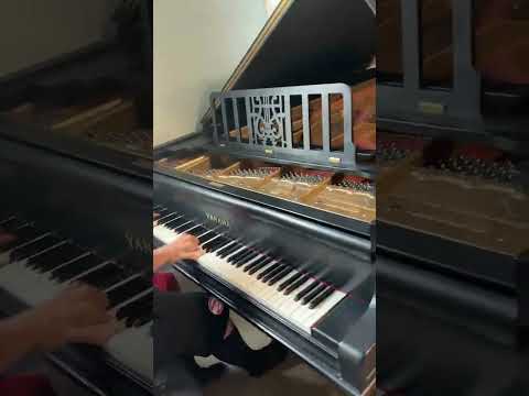 Majestic Concert Performance: Fully Rebuilt Yamaha 9' Grand image 8