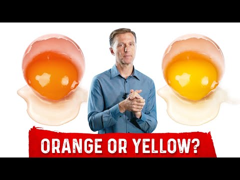 Egg Yolks: Orange or Yellow – Pasture Raised Eggs vs. Factory Farm Eggs – Which is Better? – Dr.Berg