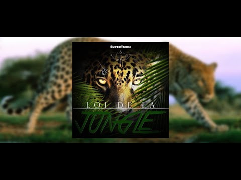SuperTshim - Loi de la Jungle (Seben)