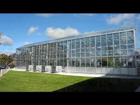 Cultivating Excellence: London Greenhouse