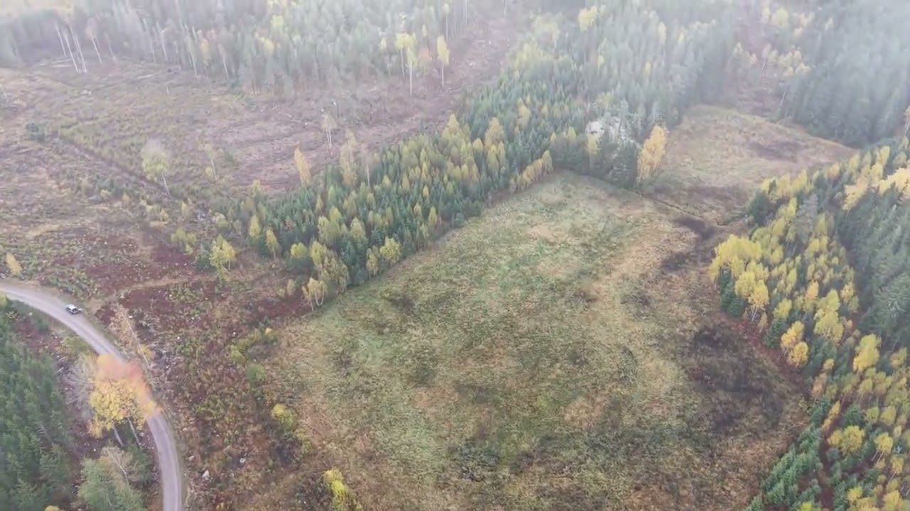 Gård med skogsbruk på Eskilstuna Haneberg 1:90 Eskilstuna kommun - video