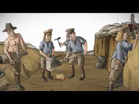 Fast Facts - World War One: Trench Life