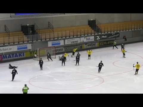 6/11/20/«Sandvikens»-«AIK»/Träningsmatcher/