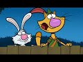 Nature Cat S Best Moments Part 1