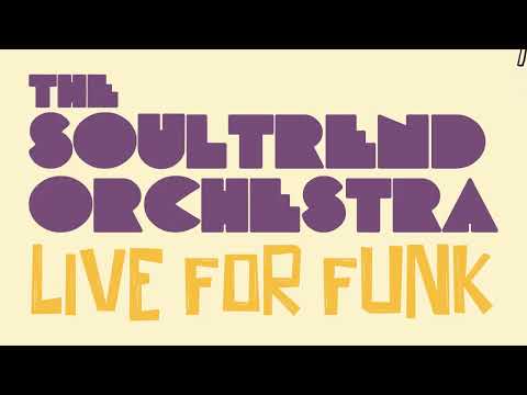 Papik Presents: The Soultrend Orchestra feat. Dario Daneluz - Meant To Be