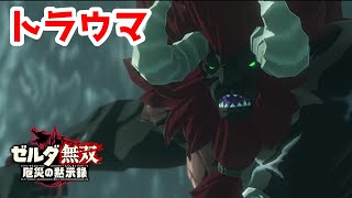 【実況】定年を迎えた父を再びハイラルの大地に放り込むPart14【ゼルダ無双 厄災の黙示録】
