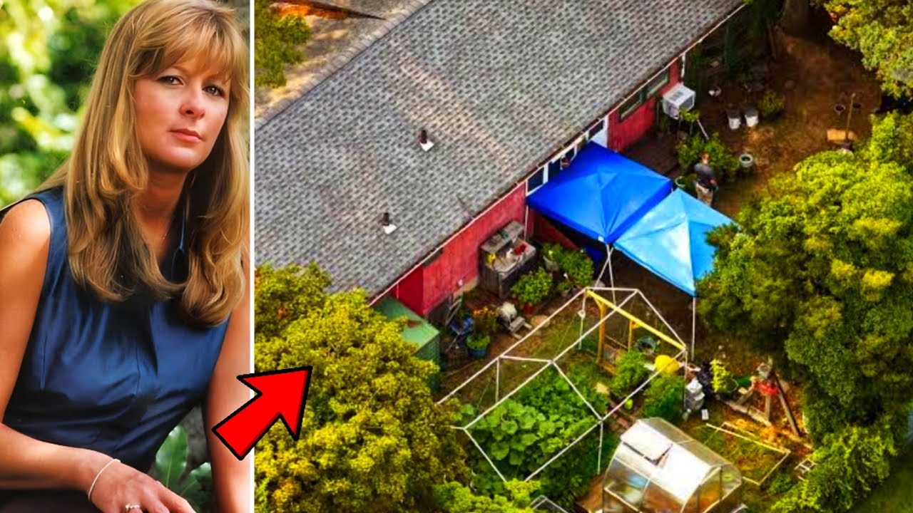 10 Cold Cases That Were SOLVED In 2024 | Documentary