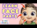 Face Song Learn Parts Of The Face By Good Kids Company