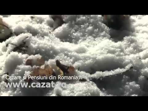 Cazare Apatiu, Bistrita Nasaud - Cazat.ro