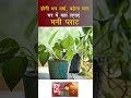 होगी धन वर्षा बढ़ेगा मान घर में यहां ल�