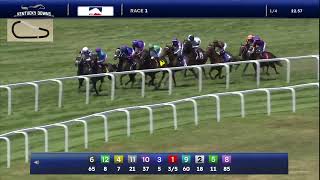 Diablo Shiraz wins race one on August 31, 2025 at Kentucky Downs