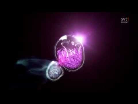 Melodifestivalen 2011 logo Lulea