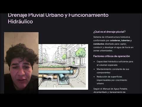 Inundaciones Urbanas y Drenaje Pluvial en la Colonia Las Flores, CDMX
