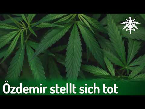 Video Thumbnail: Özdemir stellt sich tot | DHV-News # 440