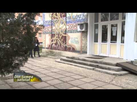 Dragomiresti Vale Technological High School, Ilfov - past, present and future