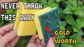 NEVER THROW THEM AGAIN !! the sponges used  are WORTH PURE GOLD on your plants in HOME AND GARDEN