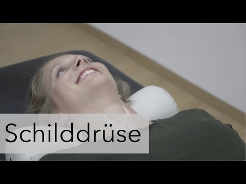 Sonografie der Schilddrüse