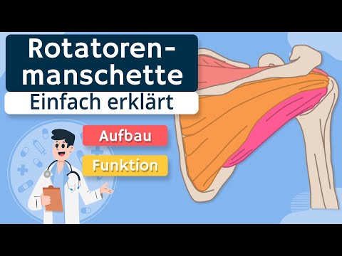 Rotator cuff - structure and function explained