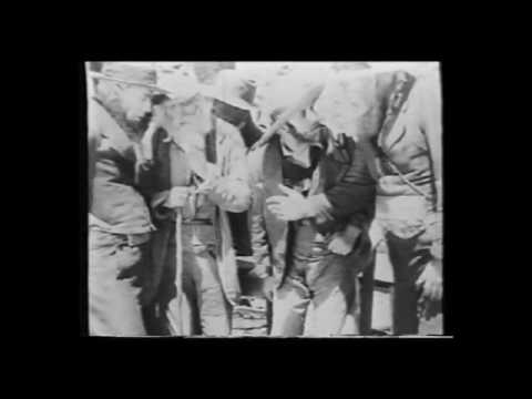 Phonumbra selected work video 8