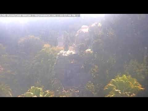 Live webcam of Disneyland Cam