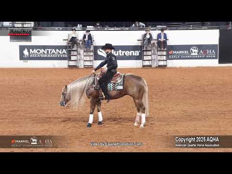 2025 Senior Reining World Champion