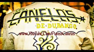 Los Canelos De Durango - El Compa Weasel (Fiesta De Los Olivas Con Tuba)