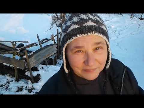 , title : 'Содержание овец зимой. Keeping sheep in winter'