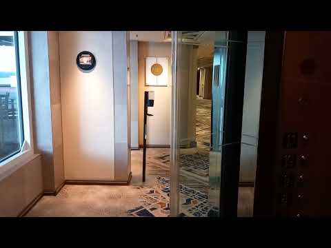 P And O Arcadia Cruise Ship outside lift on Baltic Cruise 2022