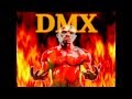 DMX - HEAT