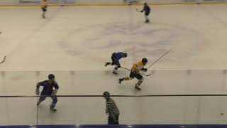 05-12-2020 IceHockey: Warriors vs Jerusalem - Warriors G4