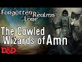 Forgotten Realms Lore - Cowled Wizards of Amn