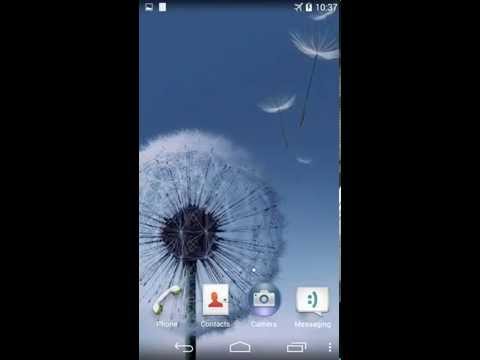 Dandelion Live Wallpaper Video
