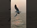 Agayam Thandi Engo WhatsApp Status