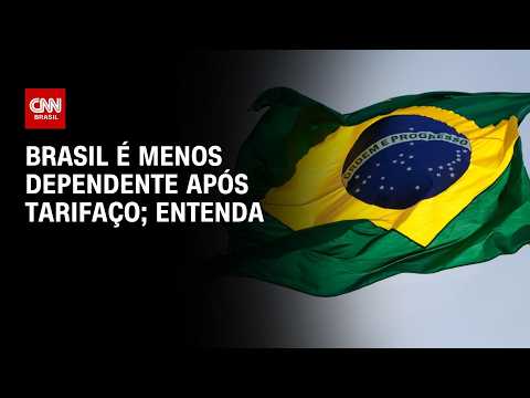 Brasil é menos dependente após tarifaço; veja a análise  | CNN 360º