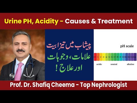 Urine PH, Acidity - Causes & Treatment by The best Nephrologist in Lahore