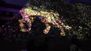 高知城の石垣に住まう花と共に生きる動物達 / Animals of Flowers, Symbiotic Lives in the Stone Wall – Kochi Castle