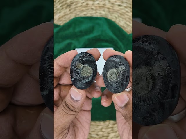 Chakra Dhari Vishnu Garuda Shaligram Shila video