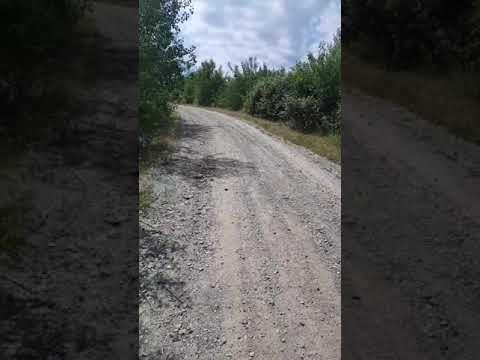 Drum pietruit în pășunea cu  Nr topo 825/1 suprafața de123,85 hectare din Cuzap