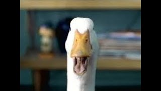 THE VERY FIRST AFLAC COMMERCIAL - 2000