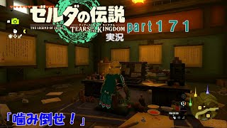 ゼルダの伝説ティアーズオブザキングダム実況part171