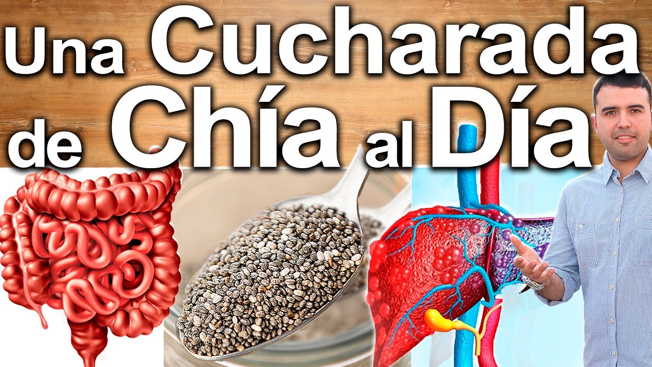 Una Cucharada De Chía En Ayunas - Para Qué Sirve - Beneficios Para Tu Salud Y Belleza