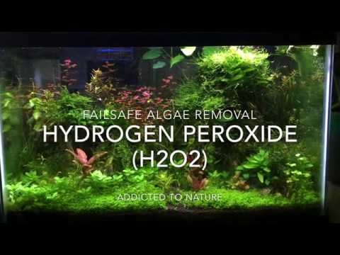BANISH Algae From Your Aquarium With HYDROGEN PEROXIDE [Algae Control in Planted Tanks]