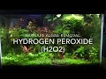 Will Hydrogen Peroxide Kill Aquarium Plants